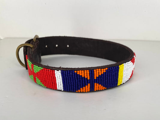 Dog collar - Safari M 